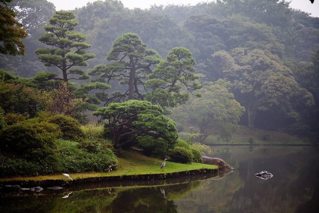 Tora Hotel Tokyo-Rikugienn 寅ホテル 六義園 C Ngoại thất bức ảnh